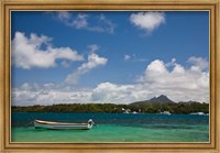 Framed Mauritius, Trou d' Eau Douce, town harbor boat