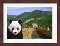 Framed Panda at the Great Wall of China