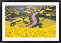 Framed Mountain Path Covered by Canola Fields, China