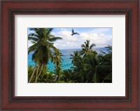 Framed Palm Trees of Anse Victorin Beach, Seychelles, Africa