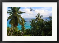 Framed Palm Trees of Anse Victorin Beach, Seychelles, Africa