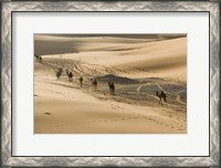 Framed MOROCCO, Tafilalt, Camel Caravan, Erg Chebbi Dunes