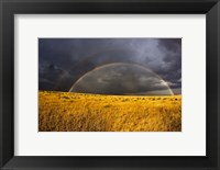 Framed Rainbow in mist, Maasai Mara Kenya