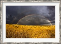 Framed Rainbow in mist, Maasai Mara Kenya