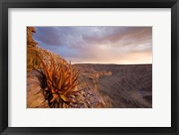 Framed Namibia, Fish River Canyon National Park, desert plant