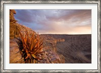 Framed Namibia, Fish River Canyon National Park, desert plant
