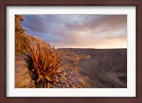 Framed Namibia, Fish River Canyon National Park, desert plant