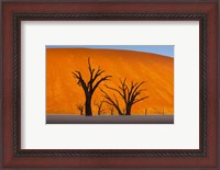 Framed Namib-Naukluft National Park, Namibia