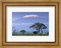 Framed Mount Kilimanjaro, Amboseli National Park, Kenya