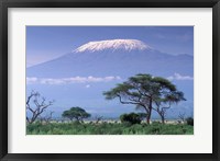 Framed Mount Kilimanjaro, Amboseli National Park, Kenya