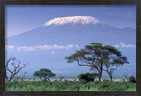 Framed Mount Kilimanjaro, Amboseli National Park, Kenya
