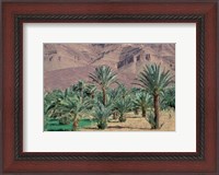 Framed Palmery Below Mountains, Morocco