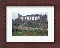 Framed Red Poppies near Basilica in Ancient Roman City, Morocco