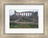 Framed Red Poppies near Basilica in Ancient Roman City, Morocco