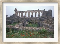 Framed Red Poppies near Basilica in Ancient Roman City, Morocco