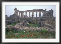 Framed Red Poppies near Basilica in Ancient Roman City, Morocco