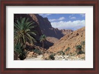 Framed Palm Trees and Creekbed Below Limestone Cliffs, Morocco