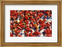 Framed Red Peppers Drying in the Sun, Tunisia