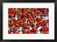 Framed Red Peppers Drying in the Sun, Tunisia