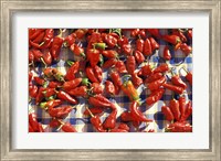 Framed Red Peppers Drying in the Sun, Tunisia