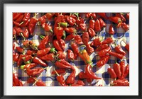 Framed Red Peppers Drying in the Sun, Tunisia