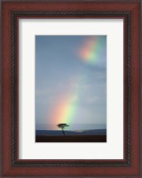 Framed Rainbow Forms Amid Rain Clouds, Masai Mara Game Reserve, Kenya