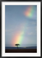 Framed Rainbow Forms Amid Rain Clouds, Masai Mara Game Reserve, Kenya