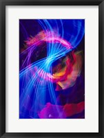 Framed Blue and Pink Neon Lighting with Nightzoom