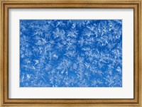 Framed Pattern of Winter Frost on Glass