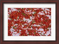 Framed Red Chili Drying in the Midday Sun, Madagascar