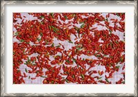 Framed Red Chili Drying in the Midday Sun, Madagascar