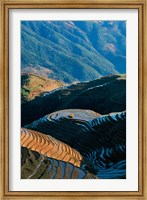 Framed Mountainside Rice Terraces, China