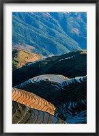 Framed Mountainside Rice Terraces, China