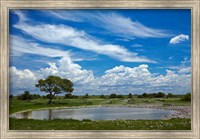 Framed Okaukuejo waterhole, Etosha National Park, Namibia