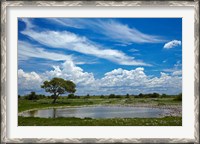 Framed Okaukuejo waterhole, Etosha National Park, Namibia