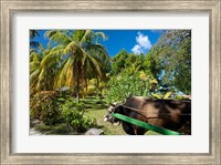 Framed Seychelles, La Digue, ox-cart transport