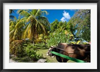 Framed Seychelles, La Digue, ox-cart transport