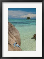 Framed Seychelles, La Digue, Tropical escape
