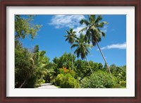 Framed Seychelles, La Digue. Remote island path