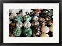 Framed Shells for sale in market, Mahe Island, Seychelles