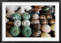 Framed Shells for sale in market, Mahe Island, Seychelles