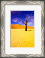Framed Skeleton Trees in Dead Vlei, Namibia