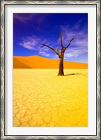 Framed Skeleton Trees in Dead Vlei, Namibia