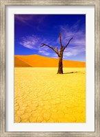 Framed Skeleton Trees in Dead Vlei, Namibia