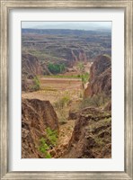 Framed Shepard, Yellow Valley cliff, Taigu, Shanxi, China