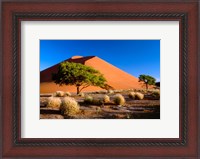 Framed Trees with Sossosvlei Dunes, Namib-Naukluff Park, Namibia