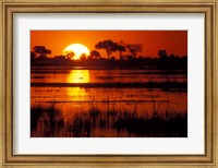 Framed Setting Sun over Lush Banks, Chobe National Park, Botswana