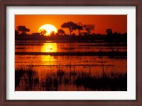 Framed Setting Sun over Lush Banks, Chobe National Park, Botswana