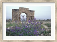 Framed Ruins of Triumphal Arch in Ancient Roman city, Morocco
