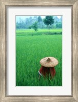 Framed Scenic of Rice Fields and Farmer on Yangtze River, China
